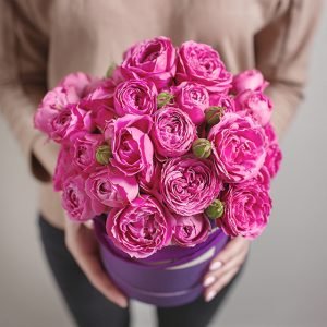 Precious Lavender Tulips